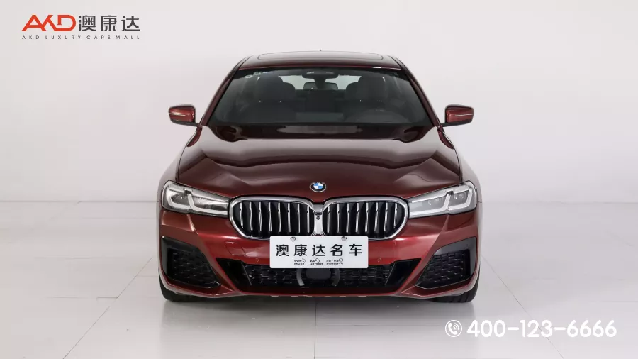二手宝马530Li 尊享型 M运动套装图片2476479