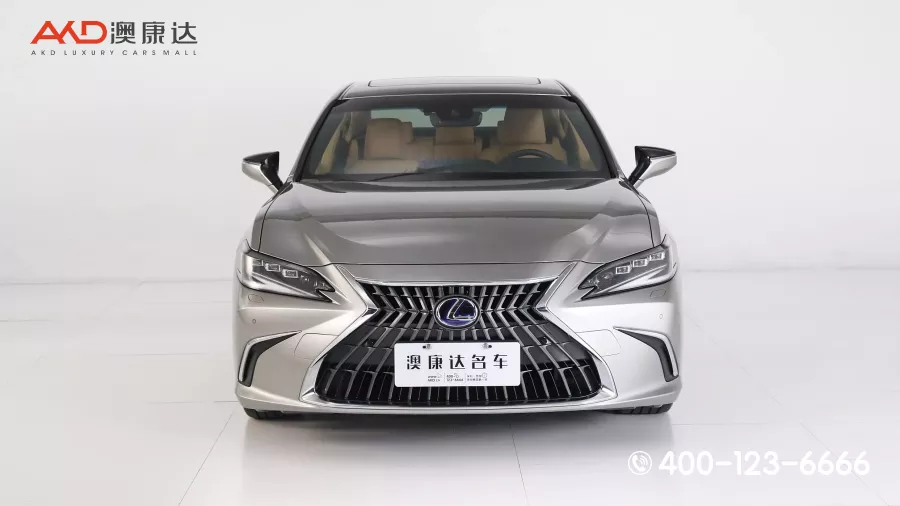 二手雷克萨斯ES300H  臻享版图片2521188