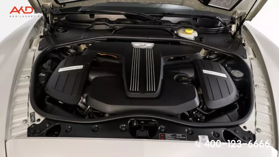 二手欧陆 4.0T GT V8S 标准版图片2575204