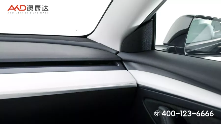 二手特斯拉Model 3  Performance高性能全轮驱动版图片2603815