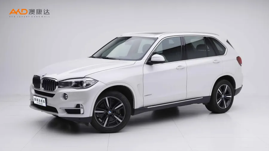 二手宝马X5 xDrive35i 典雅型图片
