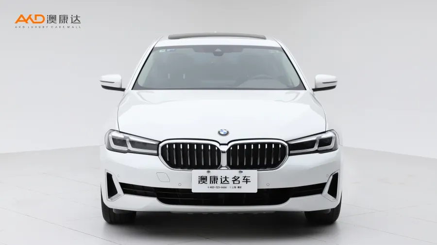 二手宝马530Li 领先型 豪华套装图片2840616