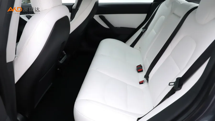 二手特斯拉Model 3 長續航后驅版圖片2848411