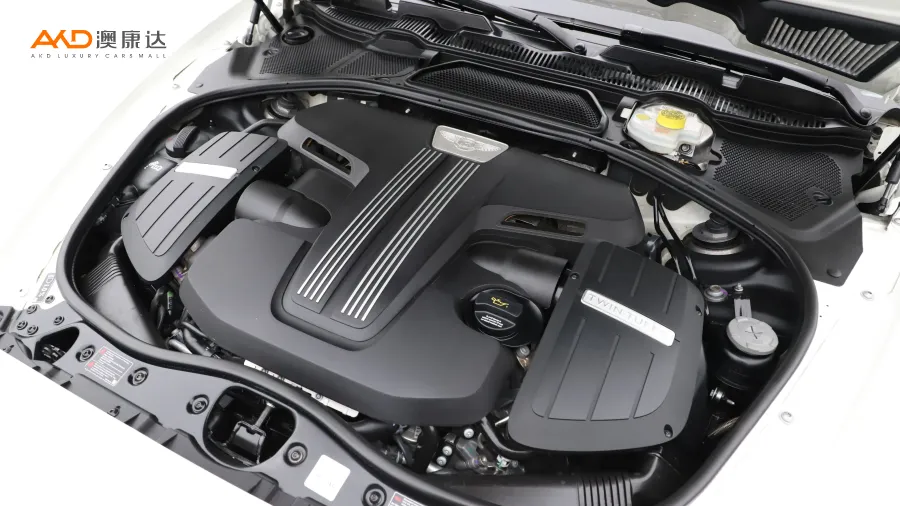 二手欧陆 4.0T GT V8 S 标准版 欧规图片2893248