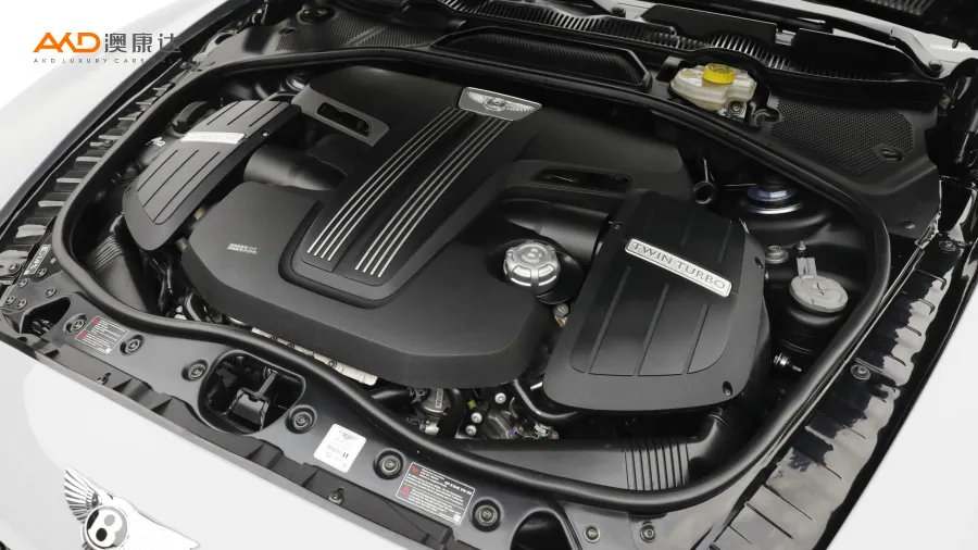 二手欧陆 4.0T GT V8 标准版欧规图片2902426