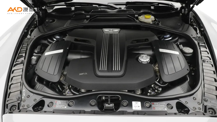 二手欧陆 4.0T GT V8 标准版欧规图片2902424
