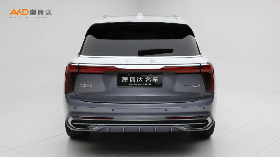 二手红旗E-HS9 510KM旗领版 四座图片3096660
