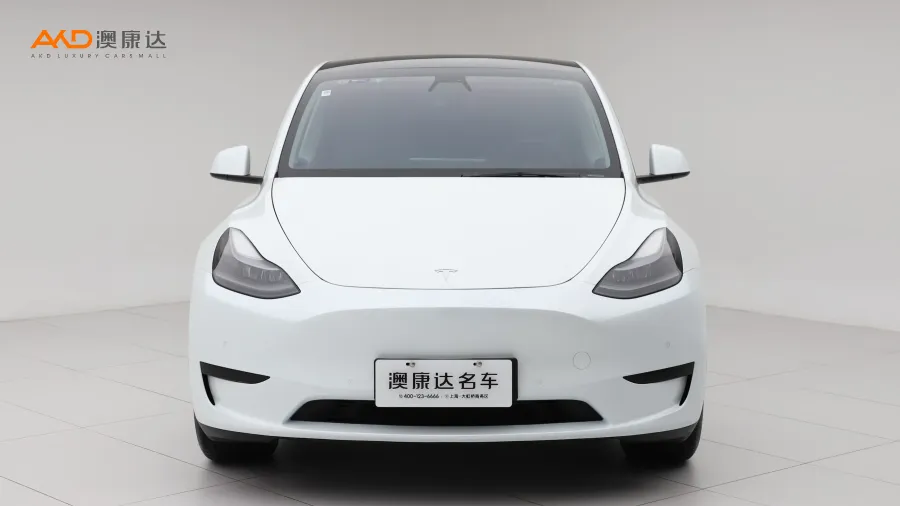 二手特斯拉Model Y 后轮驱动版图片3198790