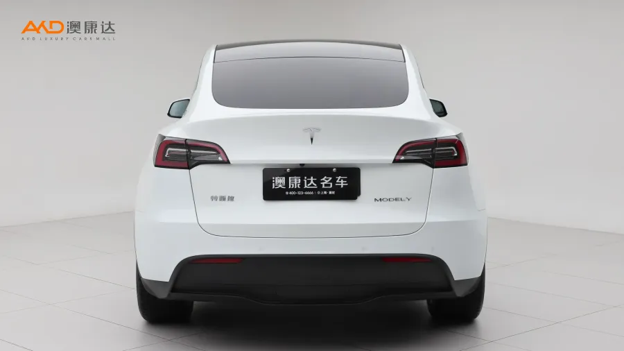 二手特斯拉Model Y 后轮驱动版图片3198794