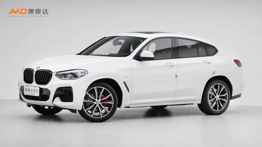 二手宝马X4 xDrive25i M运动曜夜套装图片