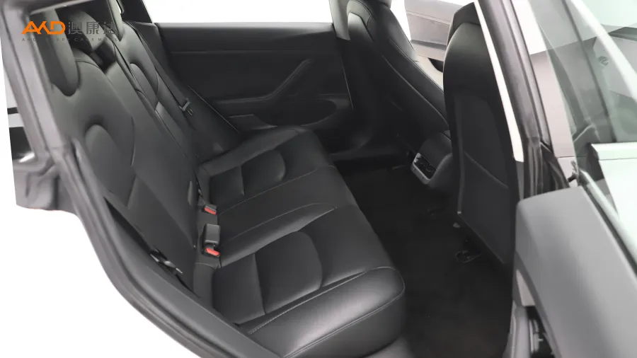 二手特斯拉Model 3 标准续航后轮驱动升级版图片3350953
