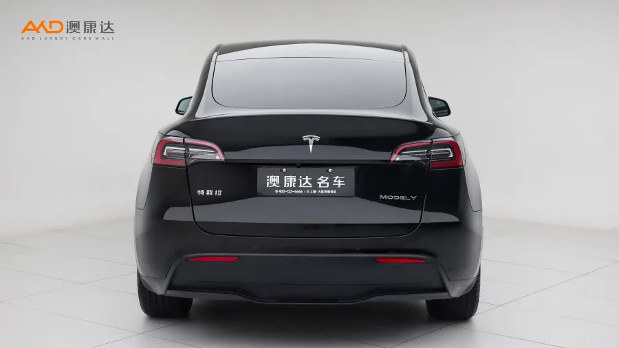 二手特斯拉Model Y 長續(xù)航全輪驅(qū)動版圖片3387339