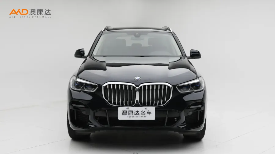 二手寶馬X5 xDrive40i  M運(yùn)動(dòng)套裝圖片3388143