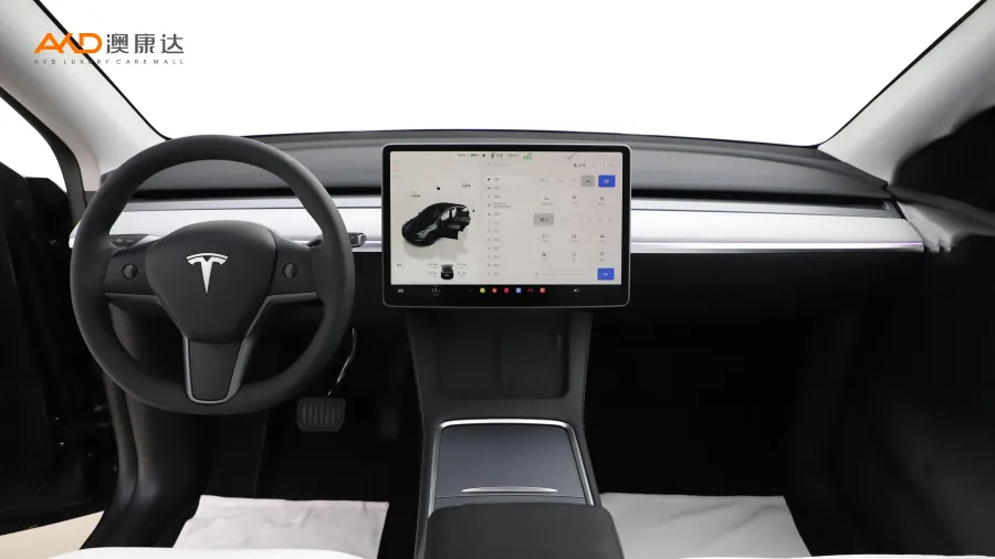 二手特斯拉Model Y 长续航全轮驱动版图片3400942