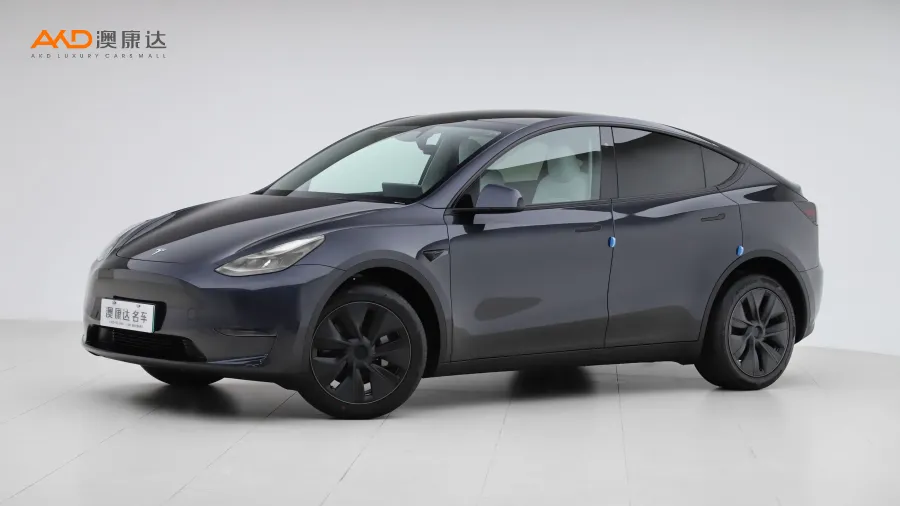 二手特斯拉Model Y 长续航全轮驱动版图片