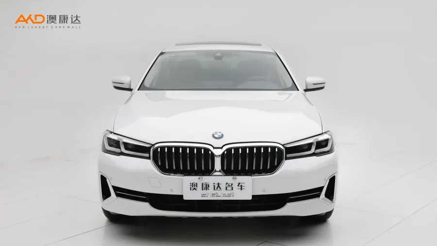 二手寶馬530Li 領(lǐng)先型 豪華套裝圖片3403930