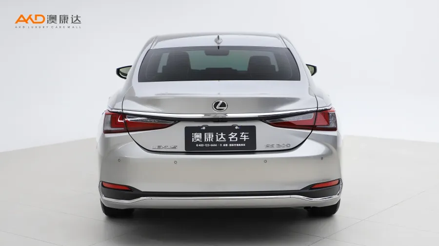 二手雷克萨斯ES200  卓越版图片3438226