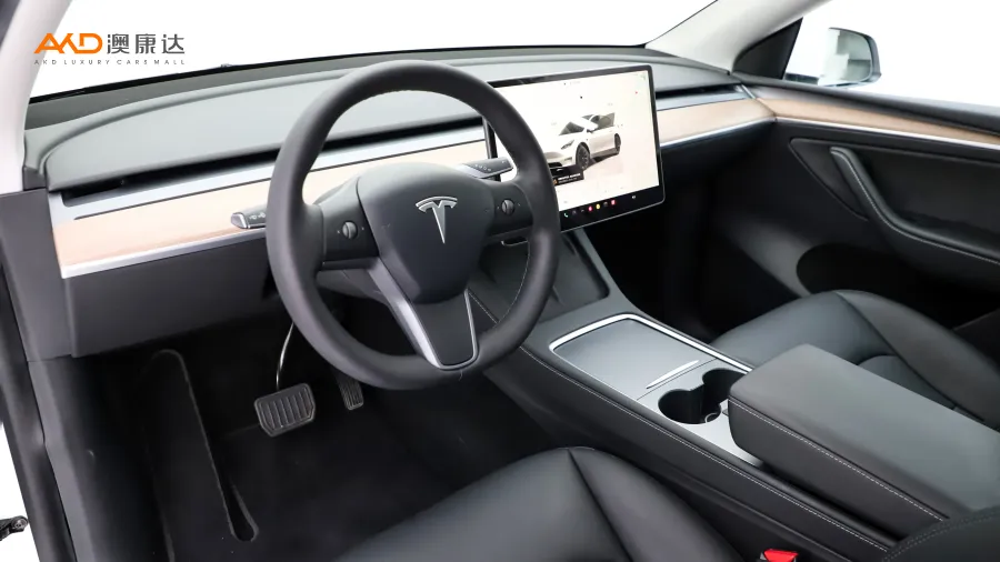 二手特斯拉Model Y 长续航全轮驱动版图片3440013