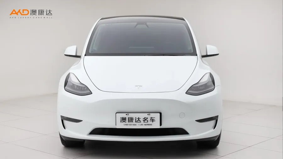 二手特斯拉Model Y 长续航全轮驱动版图片3440003