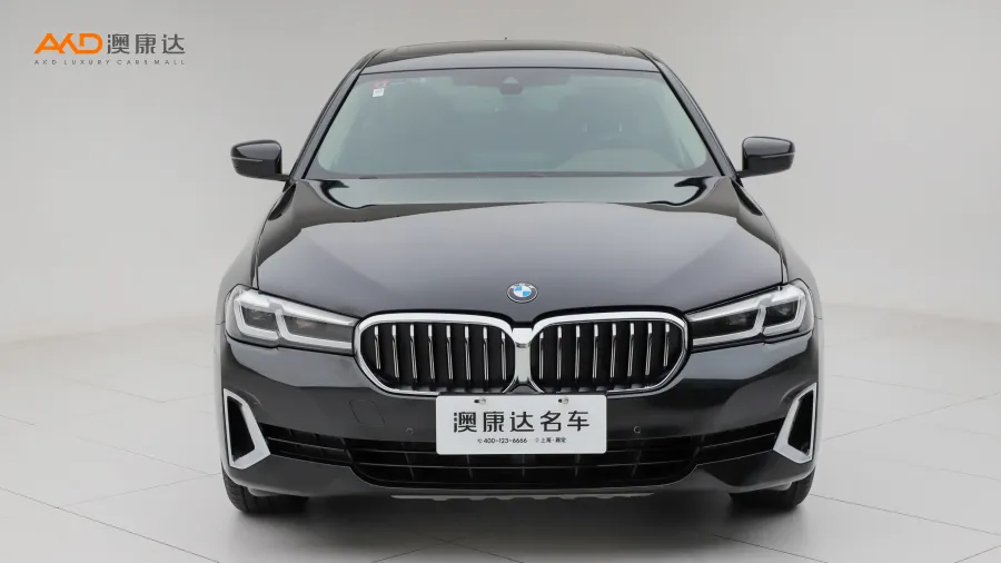 二手寶馬530Li 領(lǐng)先型 豪華套裝圖片3463106