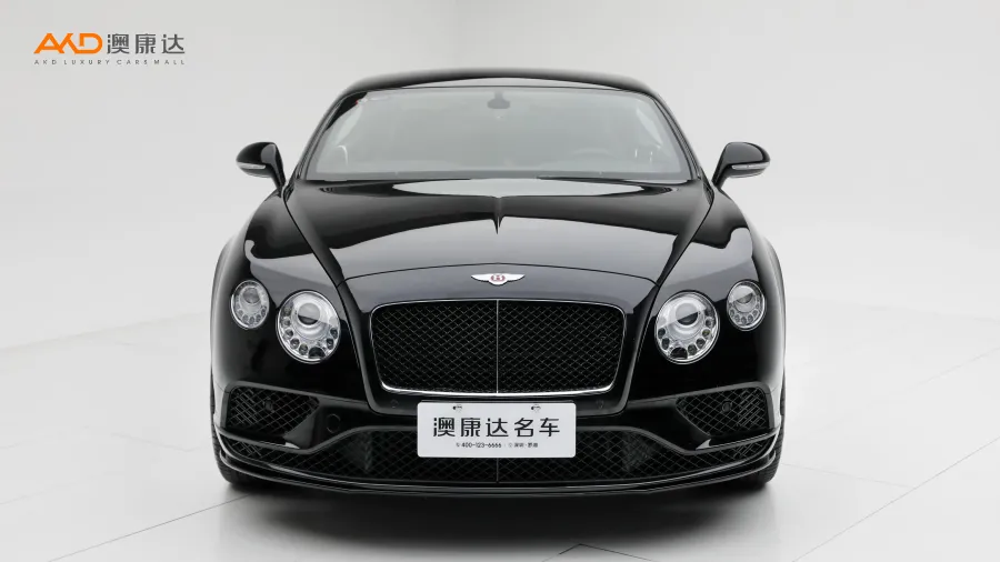 二手歐陸 4.0T GT V8S 標(biāo)準(zhǔn)版圖片3464094