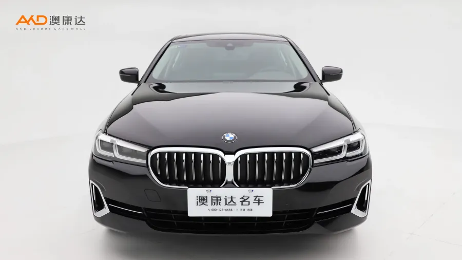 二手寶馬530Li 領(lǐng)先型 豪華套裝圖片3465898