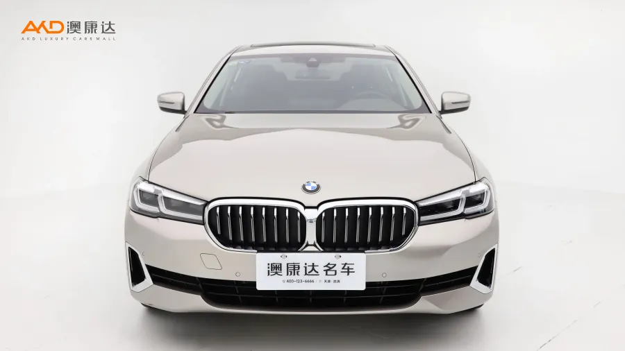 二手寶馬530Li 領(lǐng)先型 豪華套裝圖片3475719