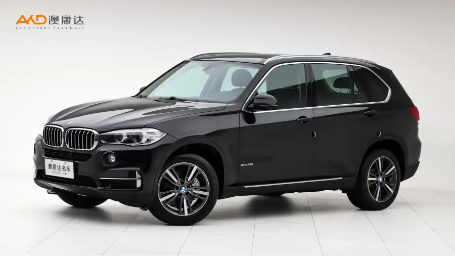 二手寶馬X5 xDrive35i 典雅型圖片