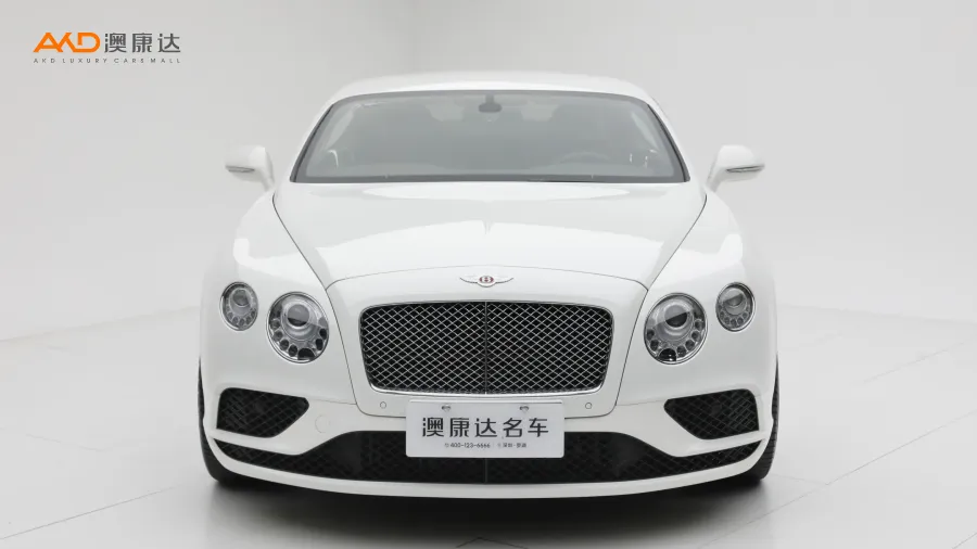 二手歐陸 4.0T GT V8 標(biāo)準(zhǔn)版圖片3480413