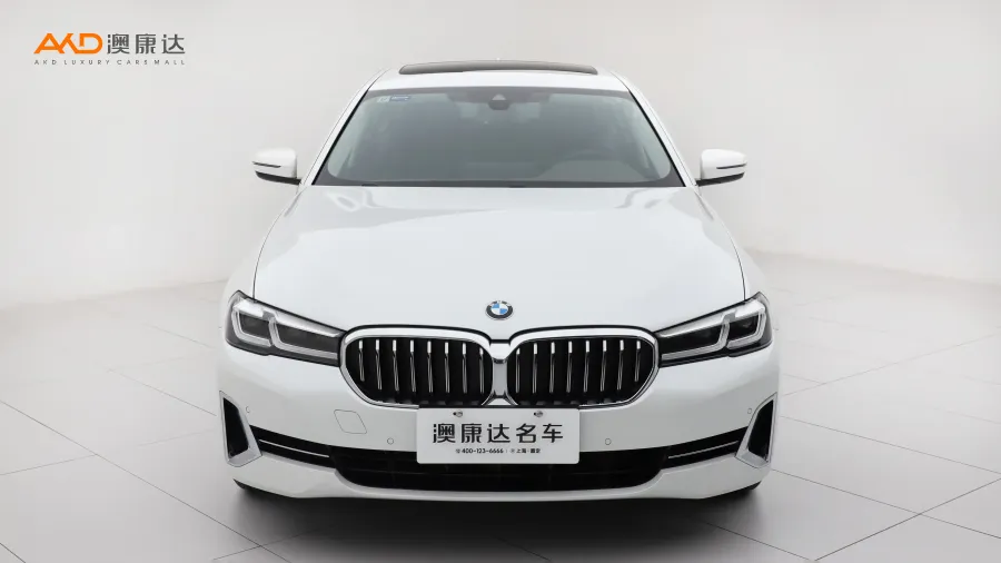 二手寶馬530Li  改款 領(lǐng)先型 豪華套裝圖片3480905