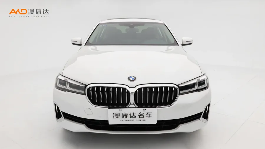 二手寶馬530Li 領(lǐng)先型 豪華套裝圖片3484918