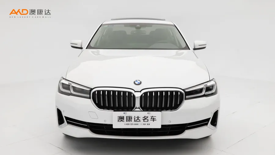 二手寶馬530Li 領(lǐng)先型 豪華套裝圖片3486694