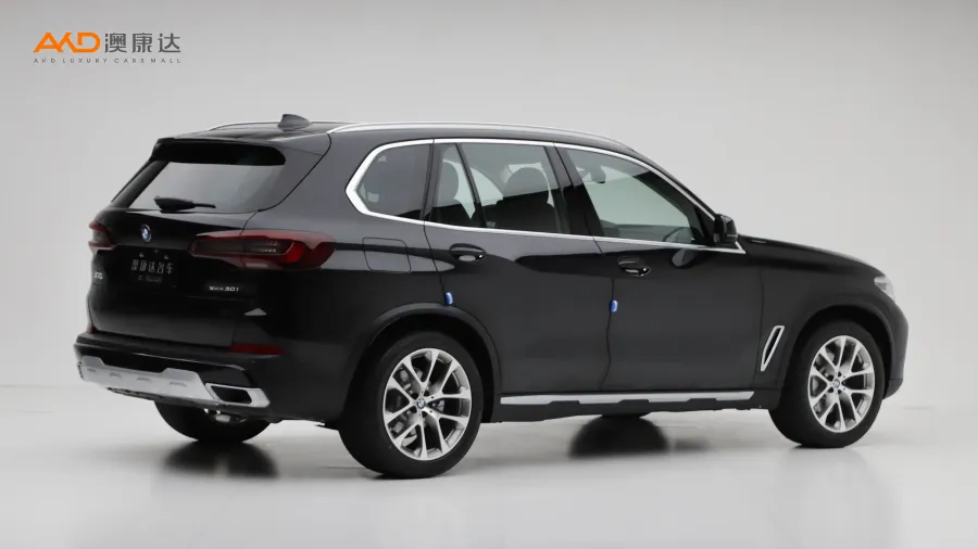 二手寶馬X5 xDrive30i X設(shè)計(jì)套裝圖片3492647