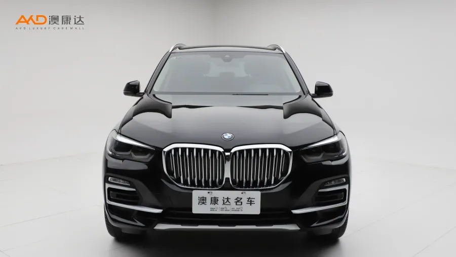 二手寶馬X5 xDrive30i X設(shè)計(jì)套裝圖片3492643