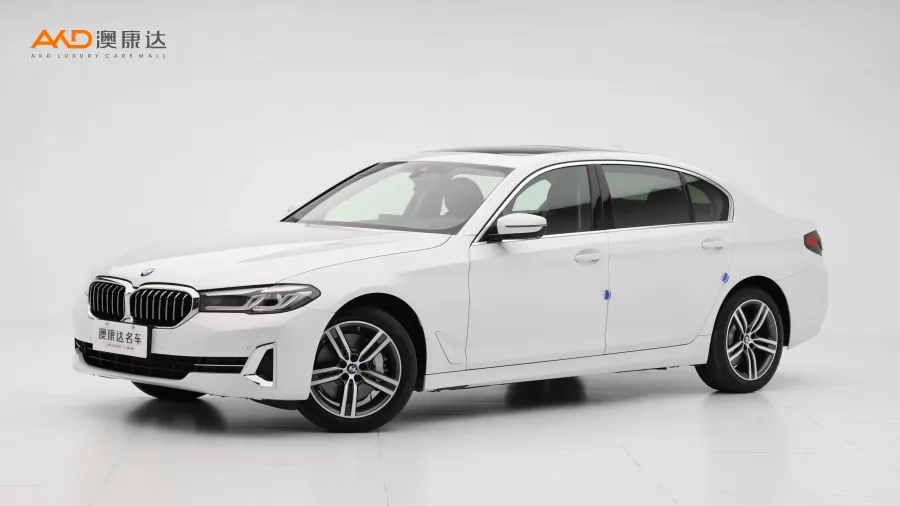 二手宝马530Li  改款 领先型 豪华套装图片