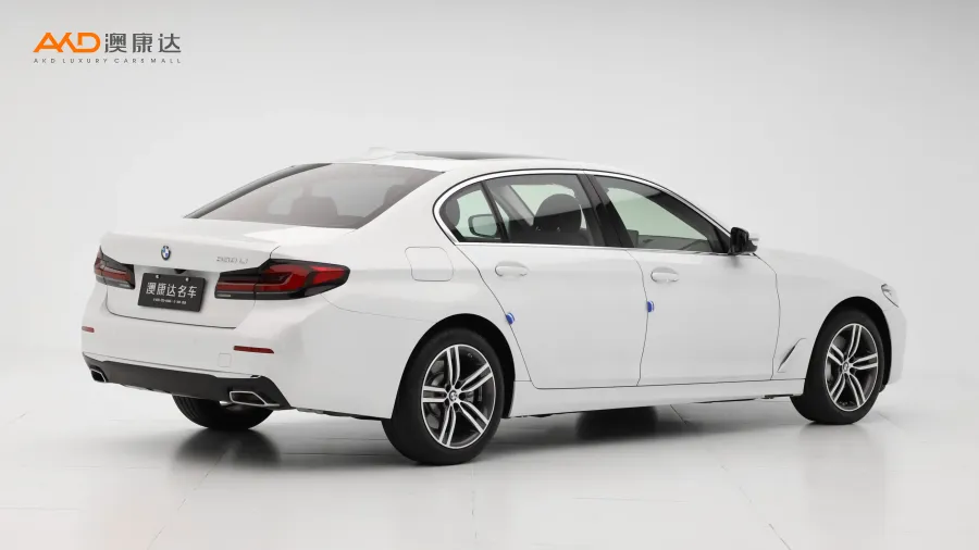 二手宝马530Li  改款 领先型 豪华套装图片3497365