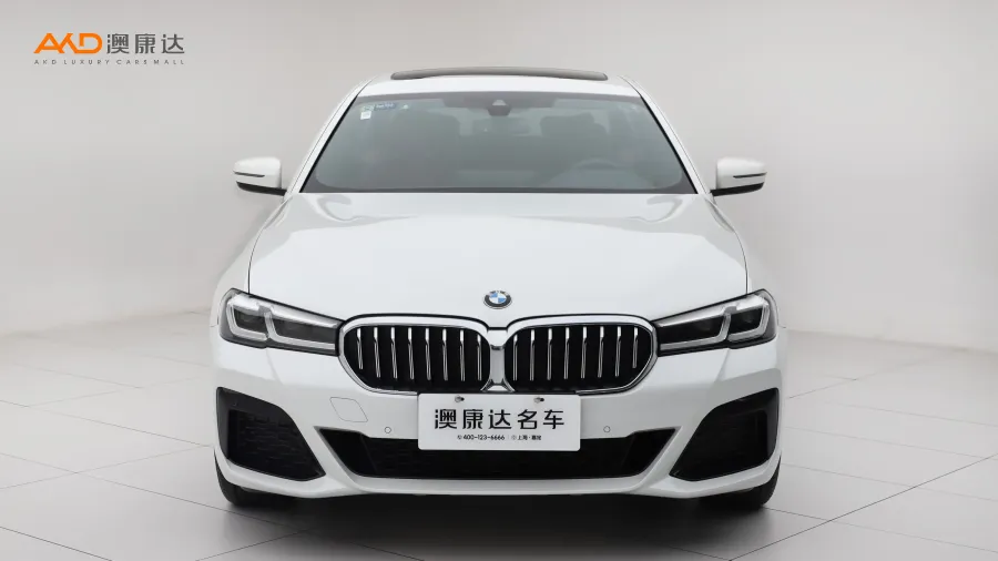 二手寶馬530Li 領(lǐng)先型 M運動套裝圖片3499945