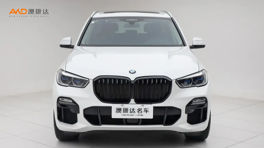 二手寶馬X5 xDrive40i 尊享型M運(yùn)動(dòng)套裝圖片3509574