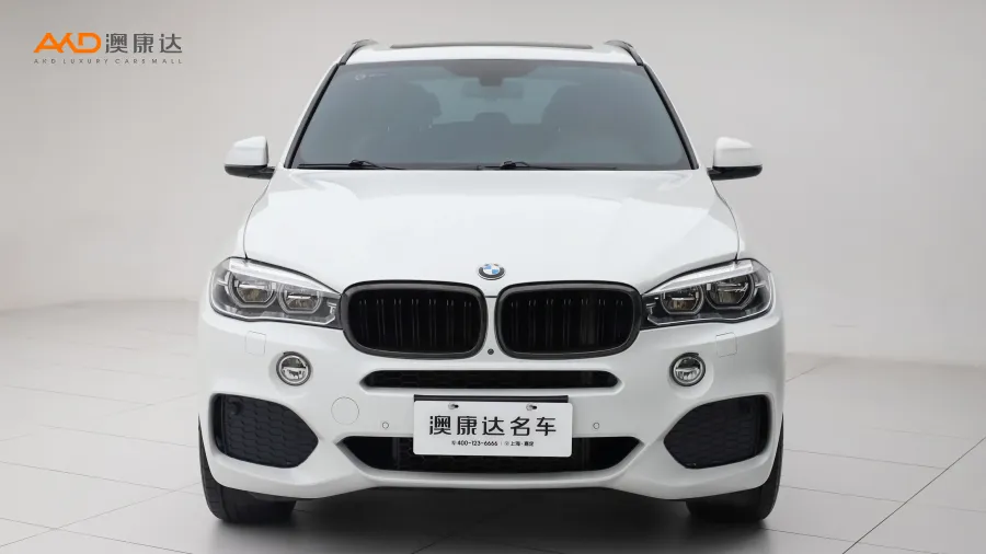 二手寶馬X5 xDrive35i M豪華運(yùn)動(dòng)型圖片3510416