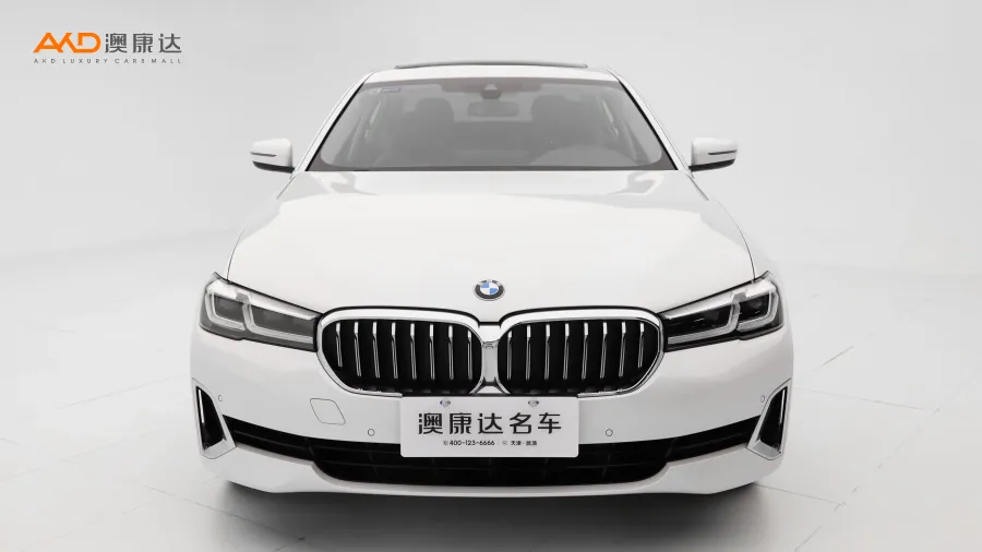 二手寶馬530Li 領(lǐng)先型 豪華套裝圖片3515895