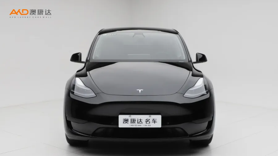 二手特斯拉Model Y 改款 后輪驅(qū)動(dòng)版圖片3521100