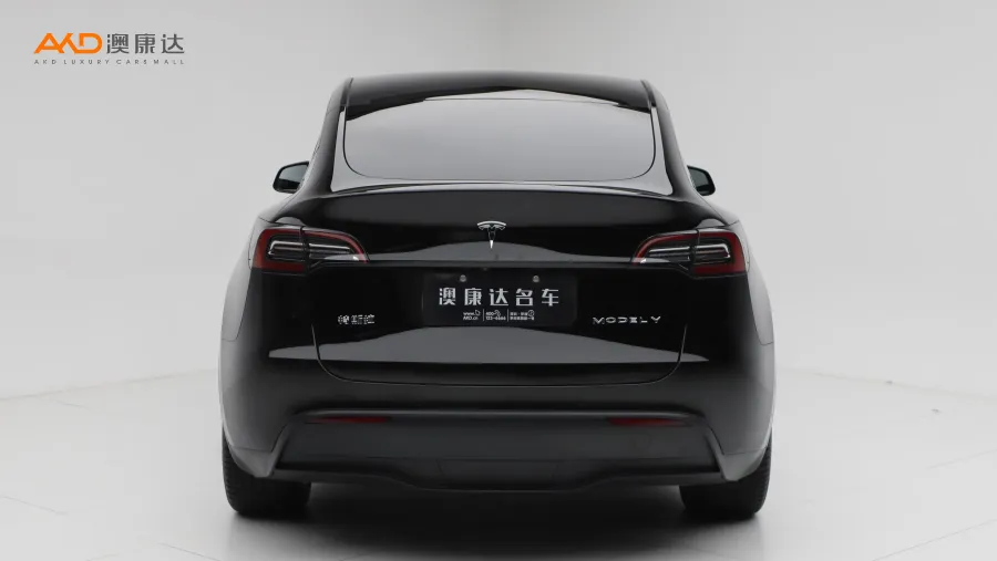 二手特斯拉Model Y 改款 后輪驅(qū)動(dòng)版圖片3524248