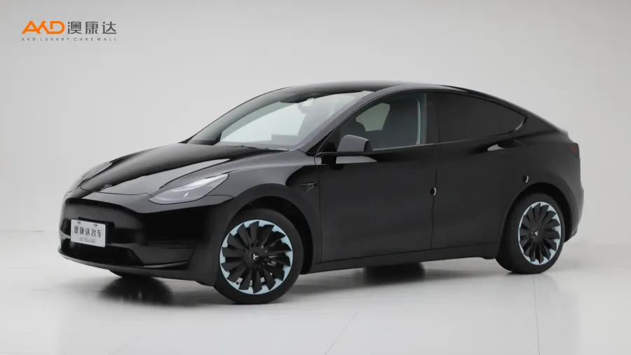 二手特斯拉Model Y 改款 后輪驅(qū)動版圖片