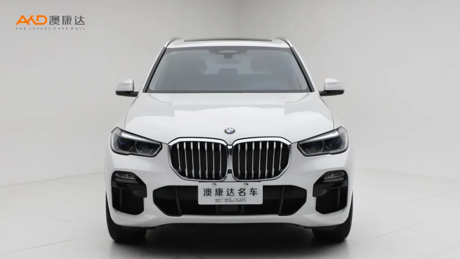 二手寶馬X5 xDrive40i 尊享型M運(yùn)動(dòng)套裝圖片3527300