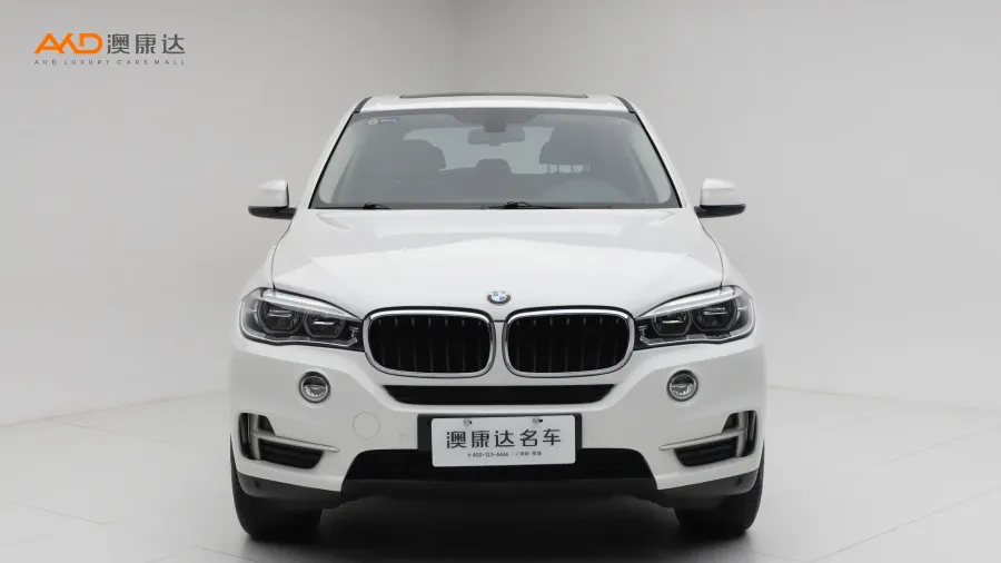 二手寶馬X5 xDrive35i 中東型圖片3529087