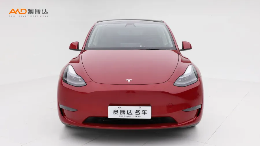 二手特斯拉Model Y Performance高性能全輪驅(qū)動版圖片3531865