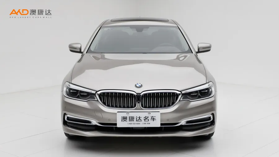 二手宝马530Li 尊享型 豪华套装图片3534656