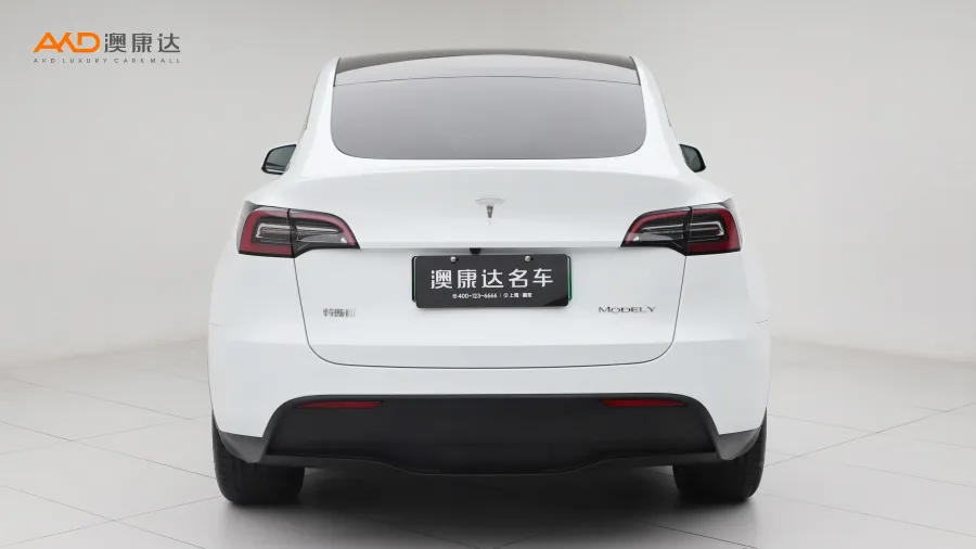 二手特斯拉Model Y 長續(xù)航全輪驅(qū)動版圖片3533885