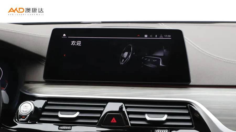 二手宝马530Li 尊享型 豪华套装图片3534674