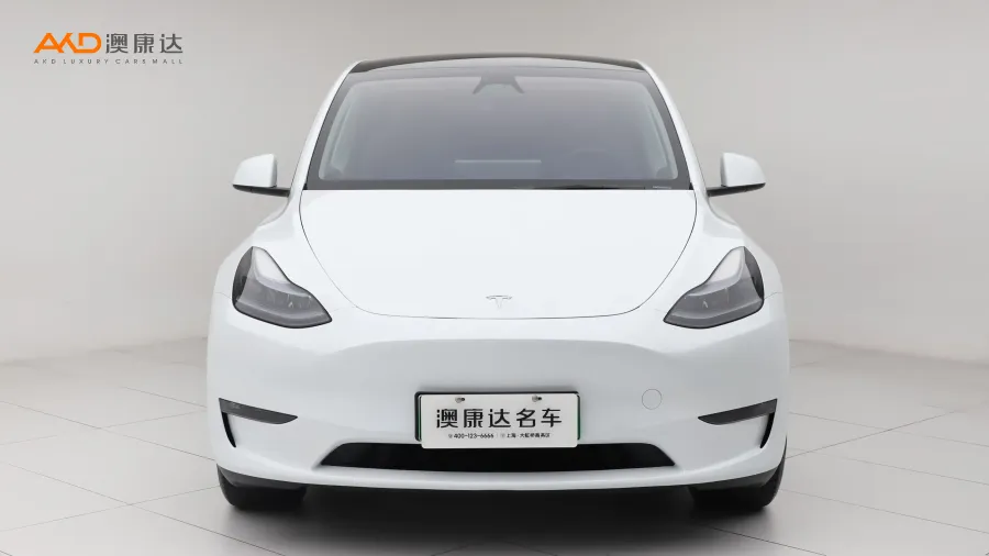 二手特斯拉Model Y 長續(xù)航全輪驅(qū)動版圖片3533879